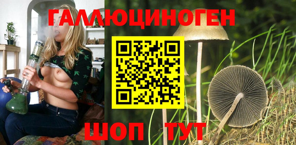 Отрадный  Псилоцибиновые грибы Cubensis  Вход с VPN  Галлюциногенные грибы GOLDEN TEACHER 